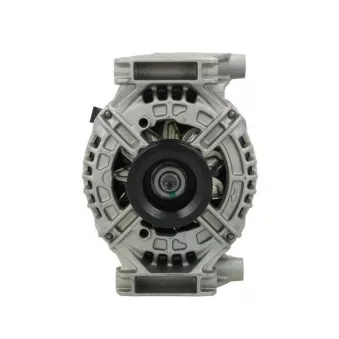 Alternateur BV PSH 135.540.120.210