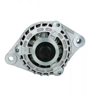 Alternateur BV PSH 135.546.130.059