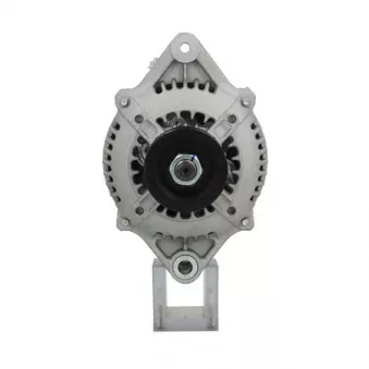 Alternateur BV PSH 135.555.075.050