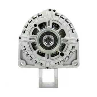 Alternateur BV PSH 135.563.120.500