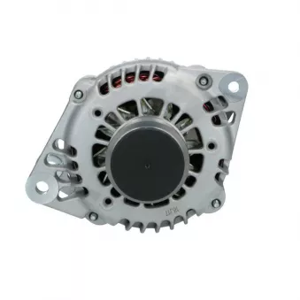 Alternateur BV PSH 135.566.100.038