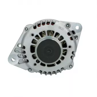 Alternateur BV PSH 135.566.100.039