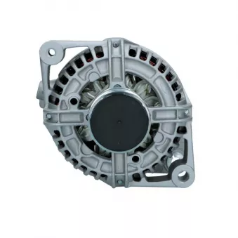 Alternateur BV PSH 135.589.120.018