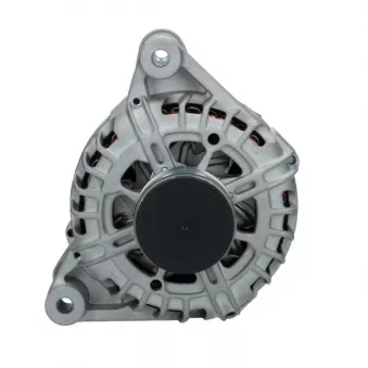 Alternateur BV PSH 135.591.140.008