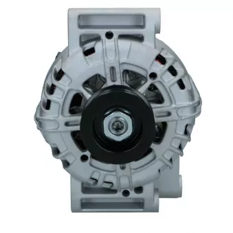 Alternateur BV PSH 135.595.140.008
