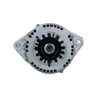 Alternateur BV PSH 135.601.100.088