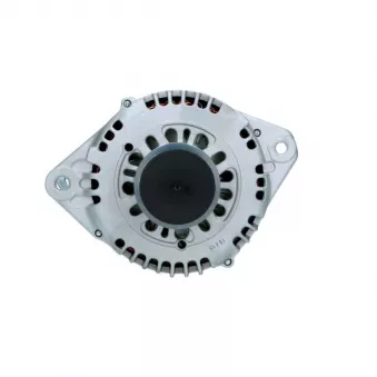 Alternateur BV PSH 135.602.100.088