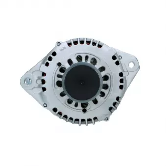 Alternateur BV PSH 135.603.100.089
