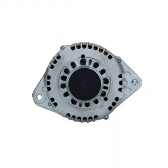 Alternateur BV PSH 135.603.100.208