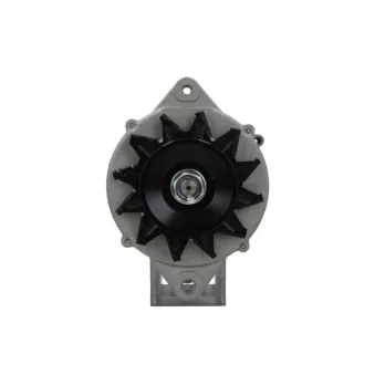 Alternateur BV PSH 135.604.100.080
