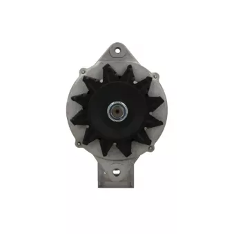 Alternateur BV PSH 135.604.100.415