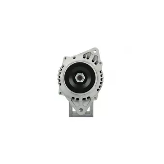Alternateur BV PSH 135.606.080.080