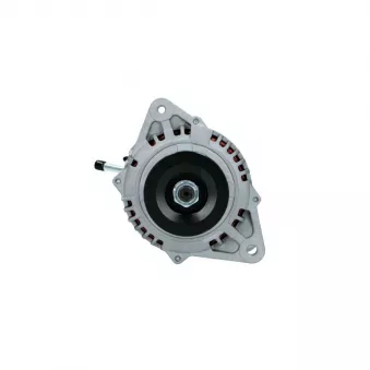 Alternateur BV PSH 135.606.080.088