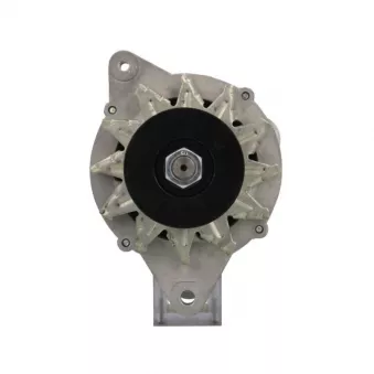 Alternateur BV PSH 135.802.070.080