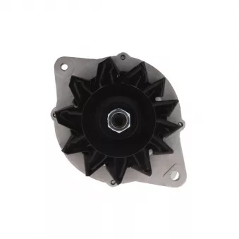 Alternateur BV PSH 135.807.070.088
