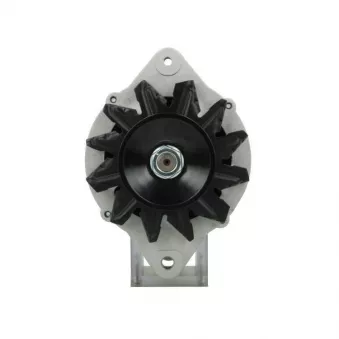 Alternateur BV PSH 135.807.070.415