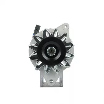 Alternateur BV PSH 135.808.050.080