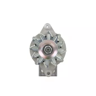 Alternateur BV PSH 135.809.070.265