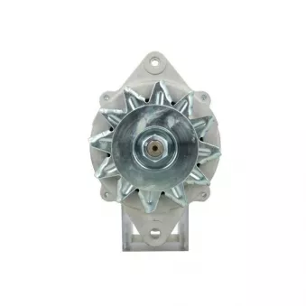 Alternateur BV PSH 135.810.070.080