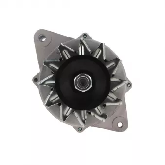 Alternateur BV PSH 135.810.070.088