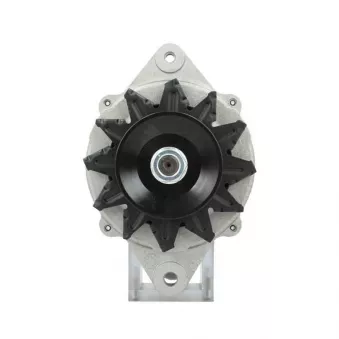 Alternateur BV PSH 135.810.070.415
