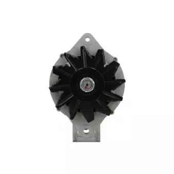 Alternateur BV PSH 135.811.070.010