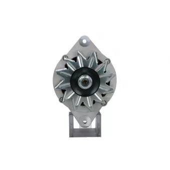 Alternateur BV PSH 135.811.070.018