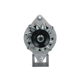Alternateur BV PSH 135.811.070.019