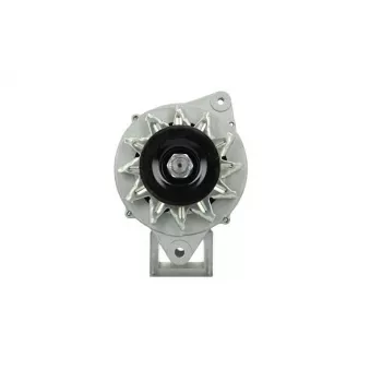 Alternateur BV PSH 135.812.080.080