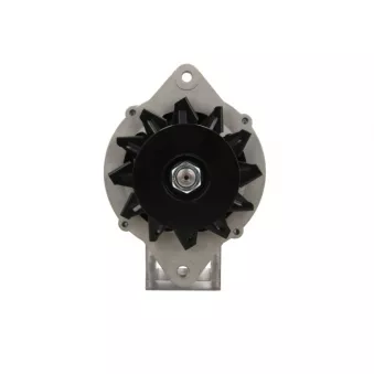 Alternateur BV PSH 135.819.080.088