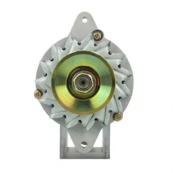Alternateur BV PSH 136.005.030.140