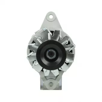 Alternateur BV PSH 136.006.050.130