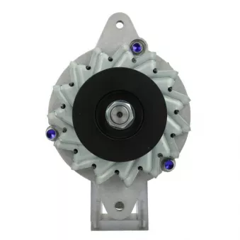 Alternateur BV PSH 136.029.030.710