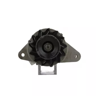 Alternateur BV PSH 136.039.025.715