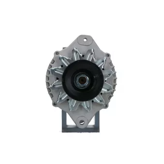 Alternateur BV PSH 136.804.080.080