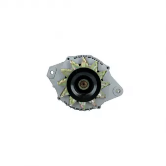 Alternateur BV PSH 136.806.060.088