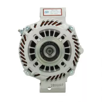 Alternateur BV PSH 145.555.110.415