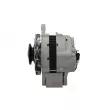 Alternateur BV PSH 155.006.050.130 - Visuel 2