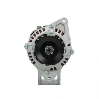 Alternateur BV PSH 155.603.075.000
