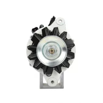Alternateur BV PSH 155.808.070.360