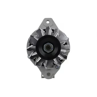Alternateur BV PSH 156.006.050.130