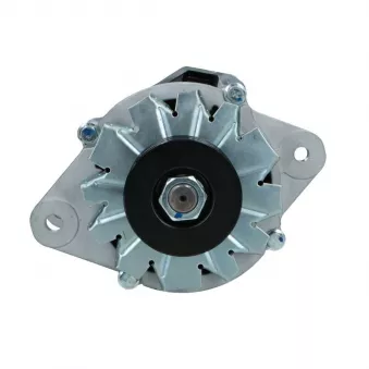 Alternateur BV PSH 156.011.070.008