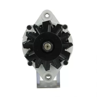 Alternateur BV PSH 156.011.070.360