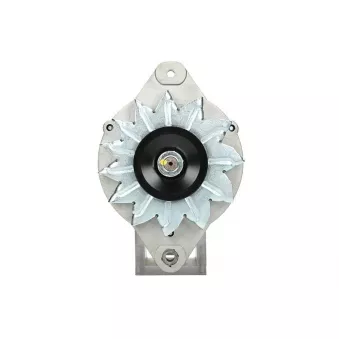 Alternateur BV PSH 165.001.050.415