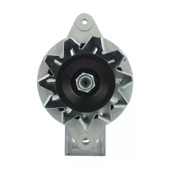 Alternateur BV PSH 165.002.035.130