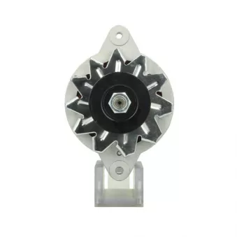 Alternateur BV PSH 165.003.035.080