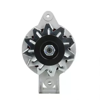 Alternateur BV PSH 165.003.050.080