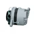 Alternateur BV PSH 165.003.050.138 - Visuel 2