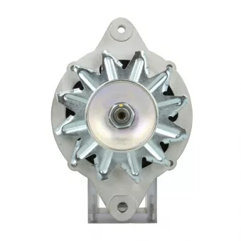Alternateur BV PSH 165.003.050.415