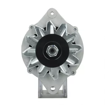 Alternateur BV PSH 165.003.060.130